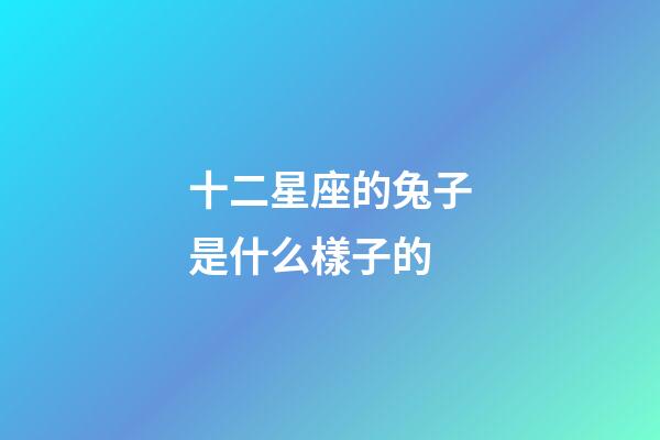 十二星座的兔子是什么樣子的-第1張-星座運勢-玄機派