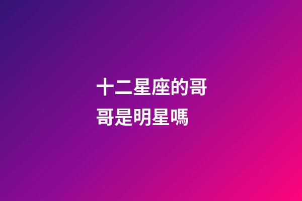十二星座的哥哥是明星嗎-第1張-星座運勢-玄機派