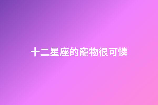 十二星座的寵物很可憐-第1張-星座運勢-玄機派