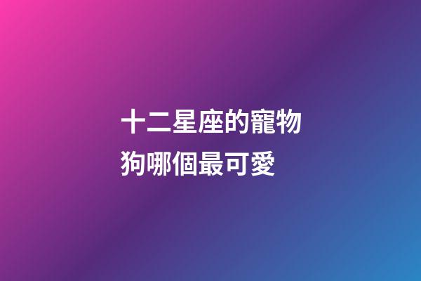 十二星座的寵物狗哪個最可愛-第1張-星座運勢-玄機派