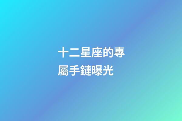 十二星座的專屬手鏈曝光-第1張-星座運勢-玄機派