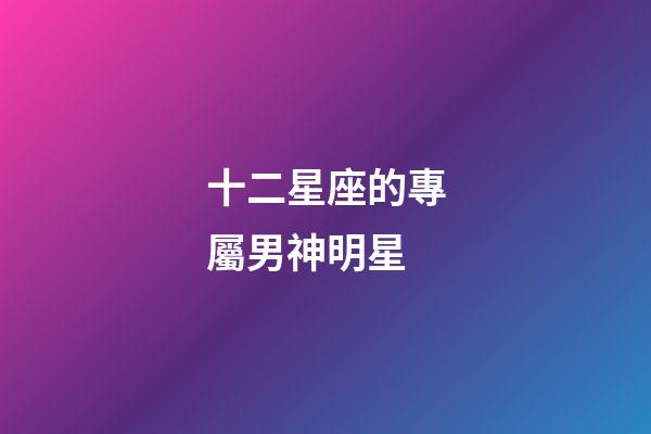 十二星座的專屬男神明星