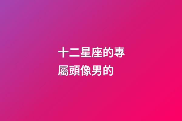 十二星座的專屬頭像男的-第1張-星座運勢-玄機派