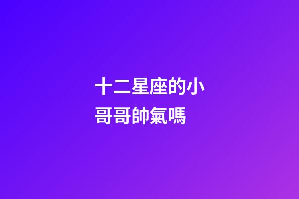 十二星座的小哥哥帥氣嗎-第1張-星座運勢-玄機派