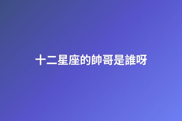 十二星座的帥哥是誰呀-第1張-星座運勢-玄機派