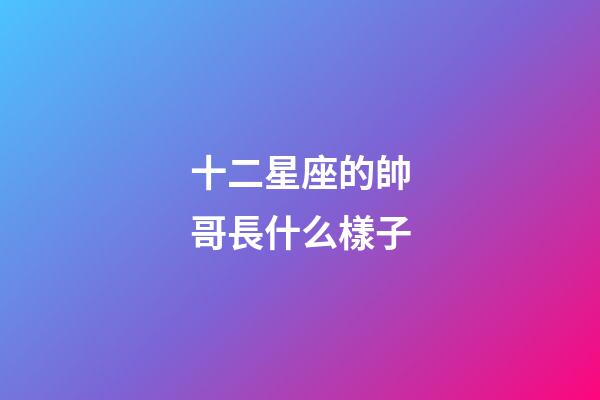 十二星座的帥哥長什么樣子-第1張-星座運勢-玄機派