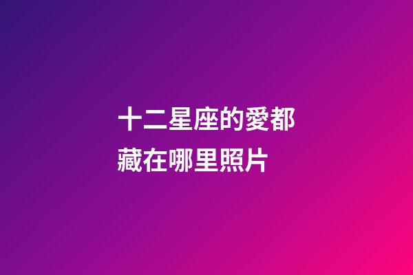 十二星座的愛都藏在哪里照片-第1張-星座運勢-玄機派