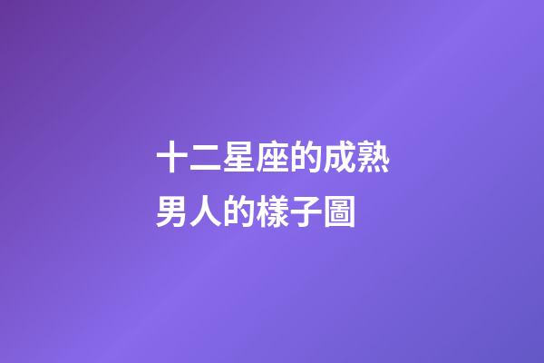 十二星座的成熟男人的樣子圖-第1張-星座運(yùn)勢-玄機(jī)派