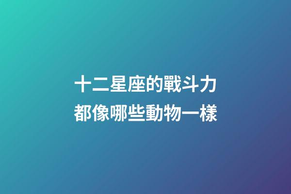 十二星座的戰斗力都像哪些動物一樣-第1張-星座運勢-玄機派