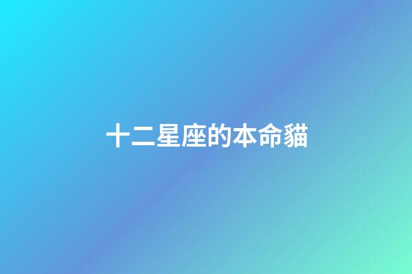 十二星座的本命貓-第1張-星座運勢-玄機派