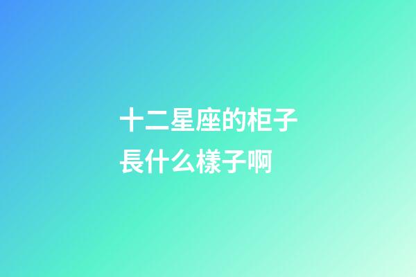十二星座的柜子長什么樣子啊-第1張-星座運勢-玄機派