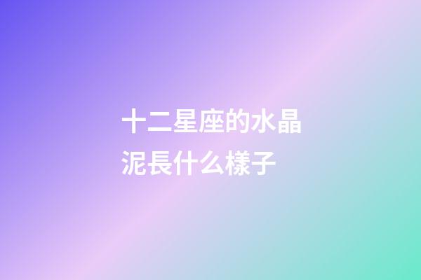 十二星座的水晶泥長什么樣子-第1張-星座運勢-玄機派