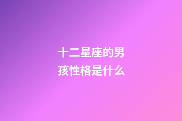 十二星座的男孩性格是什么-第1張-星座運勢-玄機派
