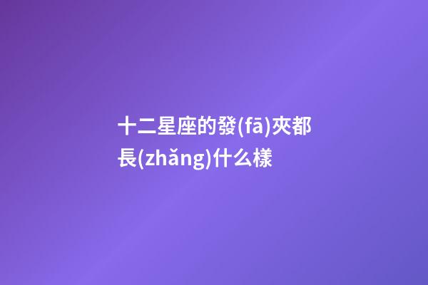 十二星座的發(fā)夾都長(zhǎng)什么樣-第1張-星座運(yùn)勢(shì)-玄機(jī)派