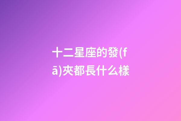 十二星座的發(fā)夾都長什么樣
