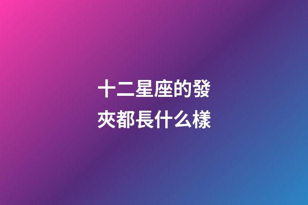 十二星座的發夾都長什么樣