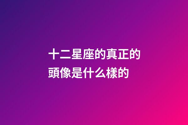 十二星座的真正的頭像是什么樣的-第1張-星座運勢-玄機派