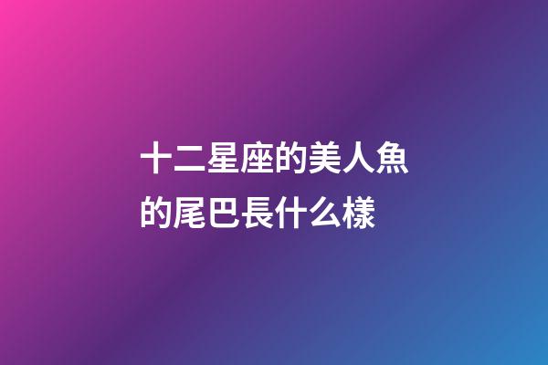 十二星座的美人魚的尾巴長什么樣-第1張-星座運勢-玄機派