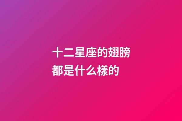 十二星座的翅膀都是什么樣的-第1張-星座運勢-玄機派