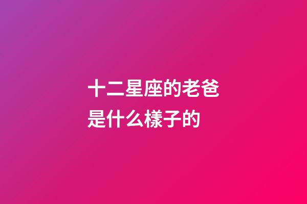 十二星座的老爸是什么樣子的-第1張-星座運勢-玄機派