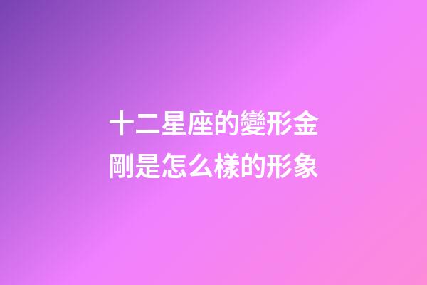 十二星座的變形金剛是怎么樣的形象