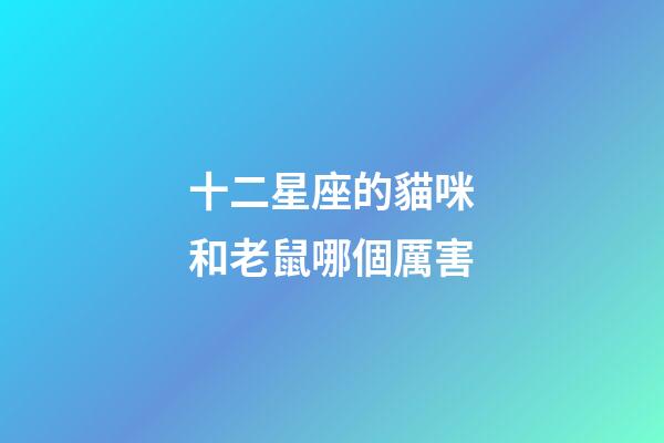 十二星座的貓咪和老鼠哪個厲害-第1張-星座運勢-玄機派