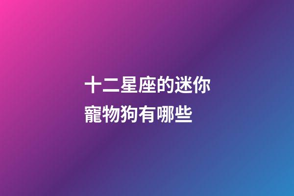 十二星座的迷你寵物狗有哪些-第1張-星座運勢-玄機派
