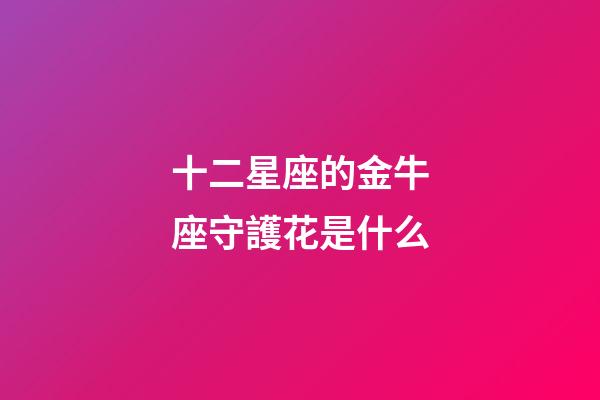 十二星座的金牛座守護花是什么-第1張-星座運勢-玄機派