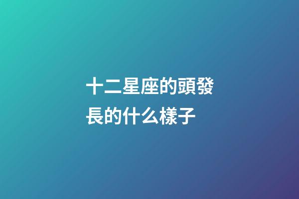 十二星座的頭發長的什么樣子-第1張-星座運勢-玄機派