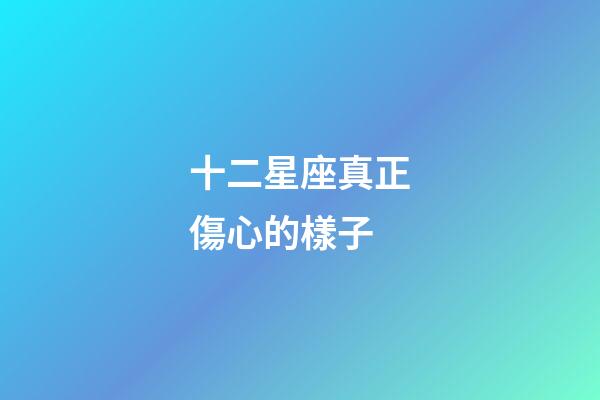 十二星座真正傷心的樣子-第1張-星座運勢-玄機派
