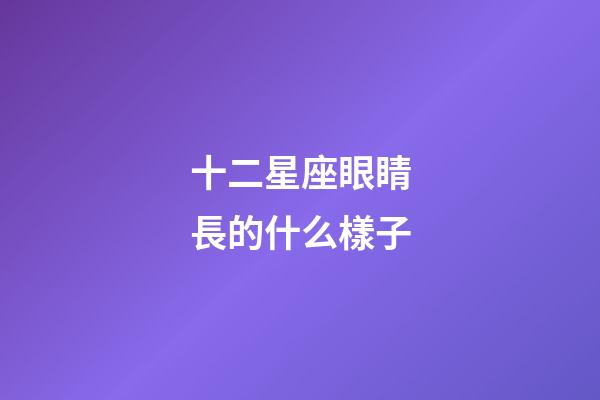 十二星座眼睛長的什么樣子-第1張-星座運勢-玄機派