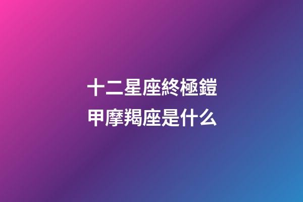 十二星座終極鎧甲摩羯座是什么