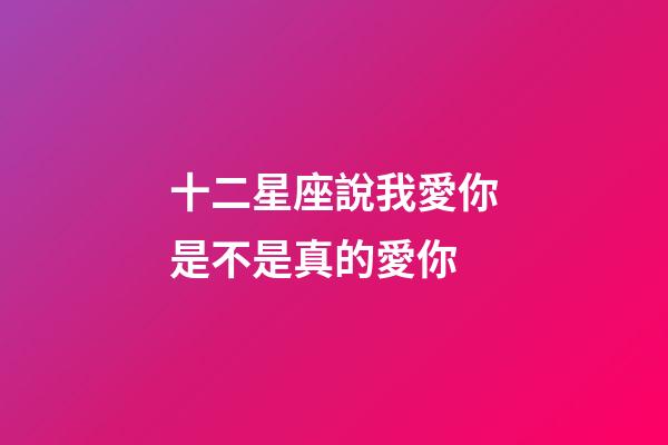 十二星座說我愛你是不是真的愛你-第1張-星座運勢-玄機派