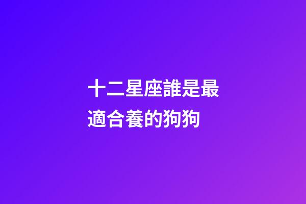 十二星座誰是最適合養的狗狗-第1張-星座運勢-玄機派