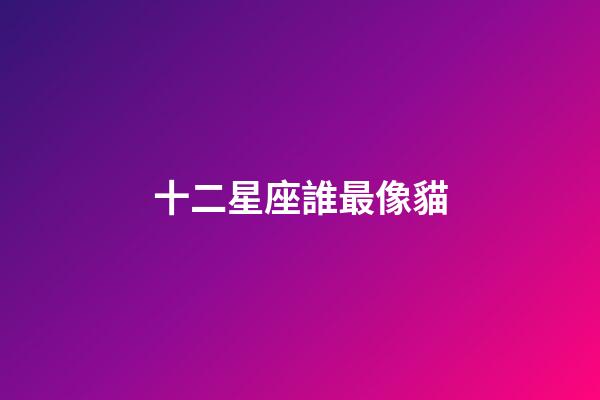 十二星座誰最像貓-第1張-星座運勢-玄機派