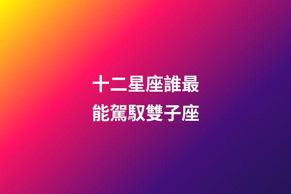 十二星座誰最能駕馭雙子座-第1張-星座運勢-玄機派