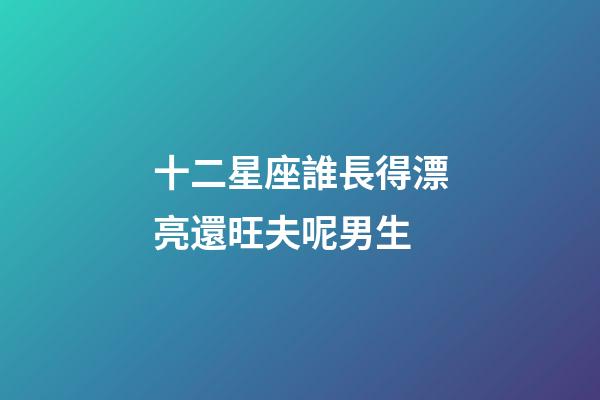 十二星座誰長得漂亮還旺夫呢男生-第1張-星座運勢-玄機派