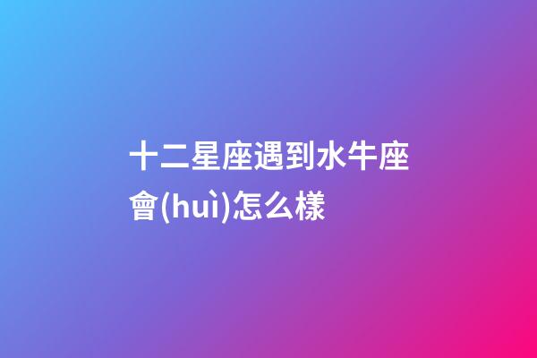 十二星座遇到水牛座會(huì)怎么樣