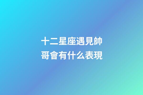 十二星座遇見帥哥會有什么表現-第1張-星座運勢-玄機派