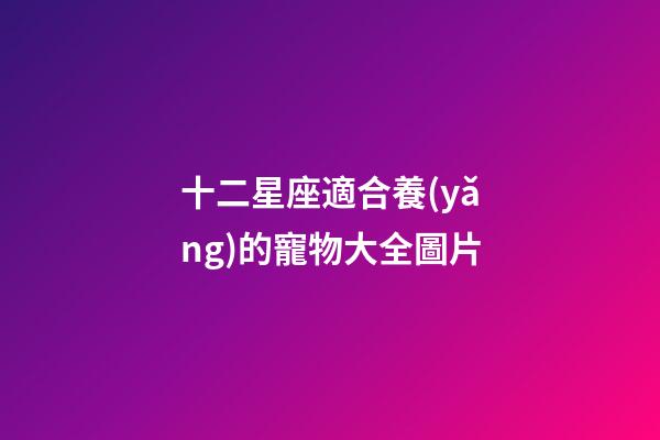十二星座適合養(yǎng)的寵物大全圖片-第1張-星座運勢-玄機派
