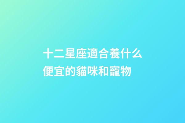 十二星座適合養什么便宜的貓咪和寵物-第1張-星座運勢-玄機派