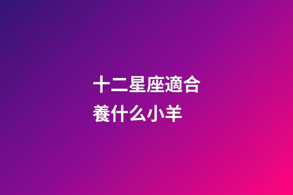 十二星座適合養什么小羊-第1張-星座運勢-玄機派