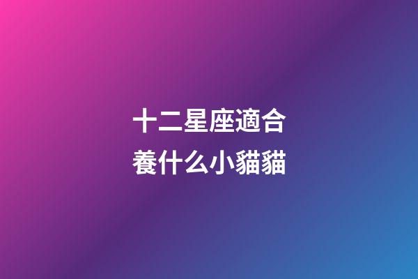 十二星座適合養什么小貓貓-第1張-星座運勢-玄機派
