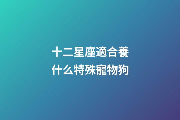 十二星座適合養什么特殊寵物狗-第1張-星座運勢-玄機派