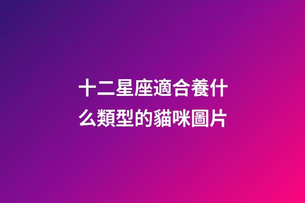 十二星座適合養什么類型的貓咪圖片-第1張-星座運勢-玄機派