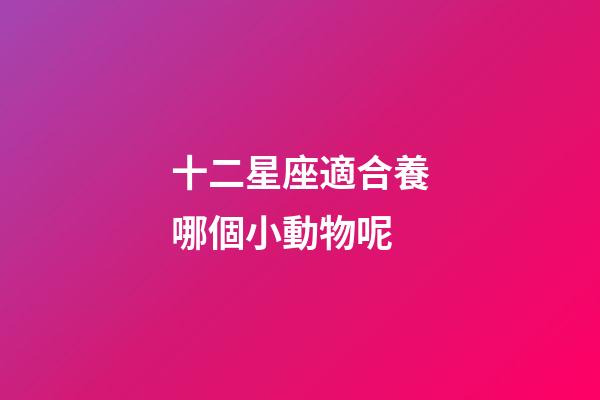 十二星座適合養哪個小動物呢-第1張-星座運勢-玄機派