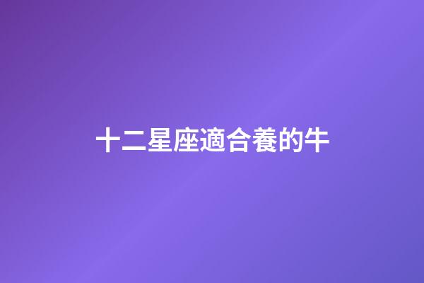 十二星座適合養的牛-第1張-星座運勢-玄機派