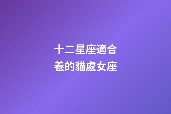 十二星座適合養的貓處女座-第1張-星座運勢-玄機派