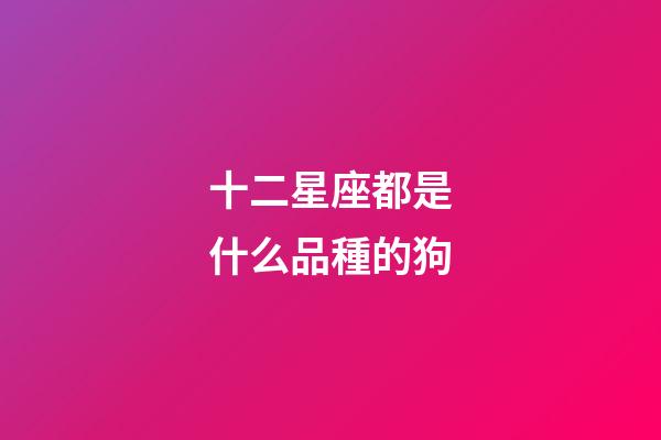 十二星座都是什么品種的狗-第1張-星座運勢-玄機派