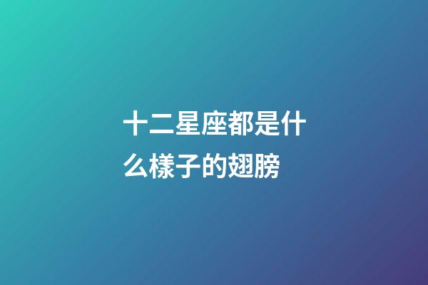 十二星座都是什么樣子的翅膀-第1張-星座運勢-玄機派